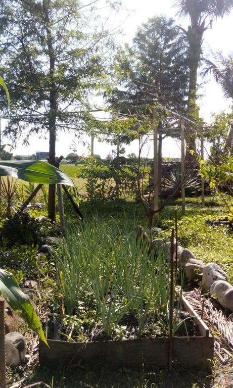 Hasayaki Homestay Саншинг Екстериор снимка