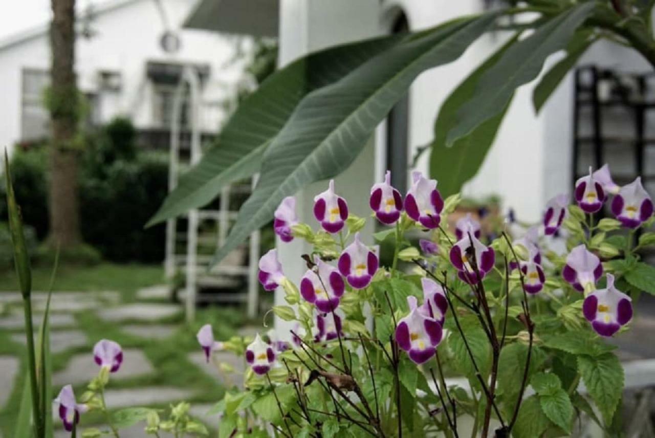 Hasayaki Homestay Саншинг Екстериор снимка